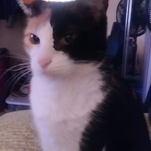 Meet your Posher, Barbara